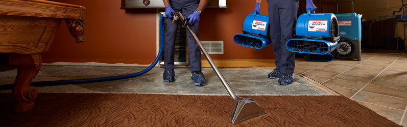 How To Get Water Out of Your Carpet Roto Rooter