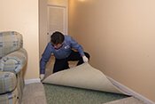 Evaluate the carpet damage