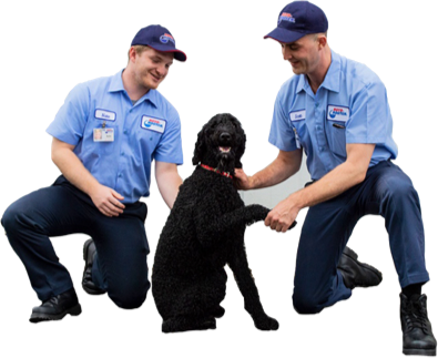Free Pet Rescue Service | Roto-Rooter